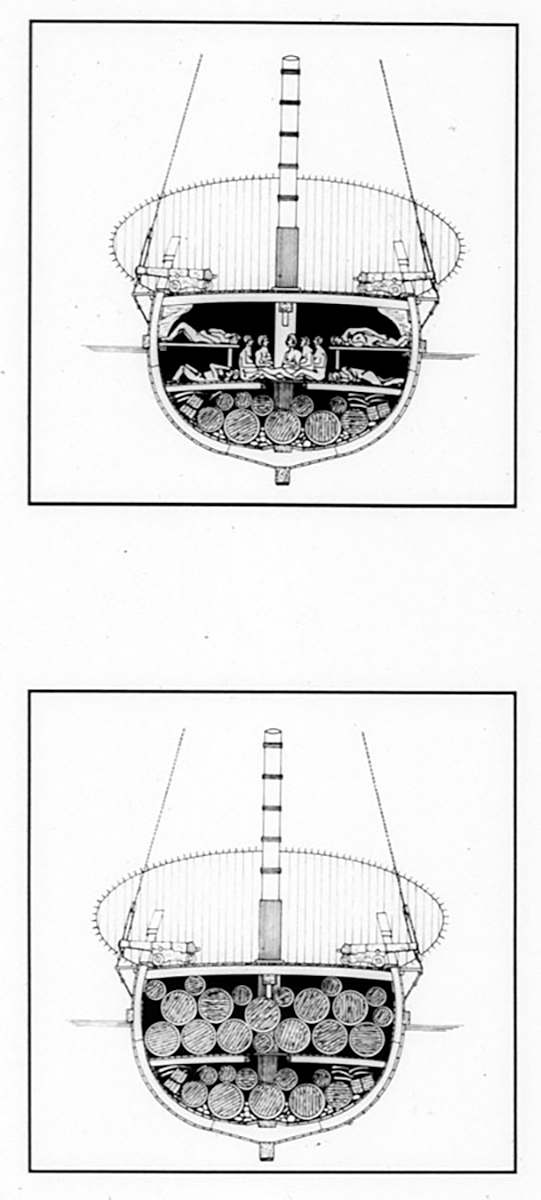 Cross Section