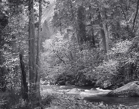 Tenaya Creek